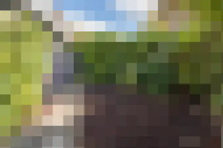 Vlindermeent 79 Hilversum thumbnail 35