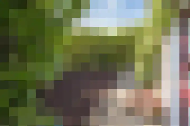 Vlindermeent 79 Hilversum thumbnail 36