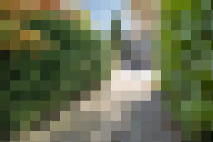 Vlindermeent 79 Hilversum thumbnail 39