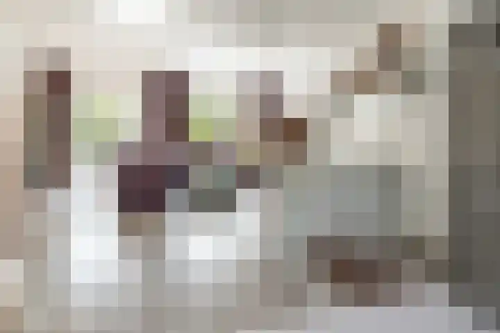 Vlindermeent 79 Hilversum thumbnail 9