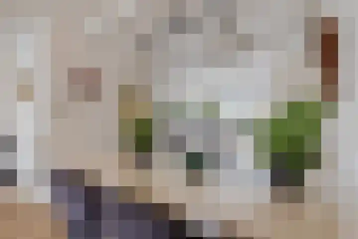 Vlindermeent 85 Hilversum thumbnail 11