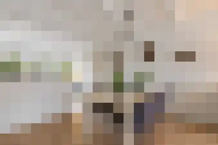 Vlindermeent 85 Hilversum thumbnail 12
