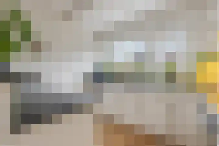 Vlindermeent 85 Hilversum thumbnail 13