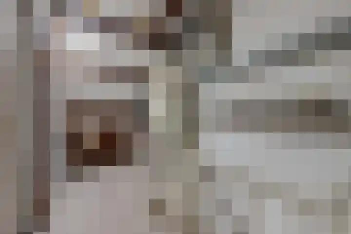 Vlindermeent 85 Hilversum thumbnail 28