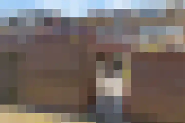 Vlindermeent 85 Hilversum thumbnail 34