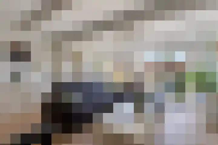 Vlindermeent 85 Hilversum thumbnail 4