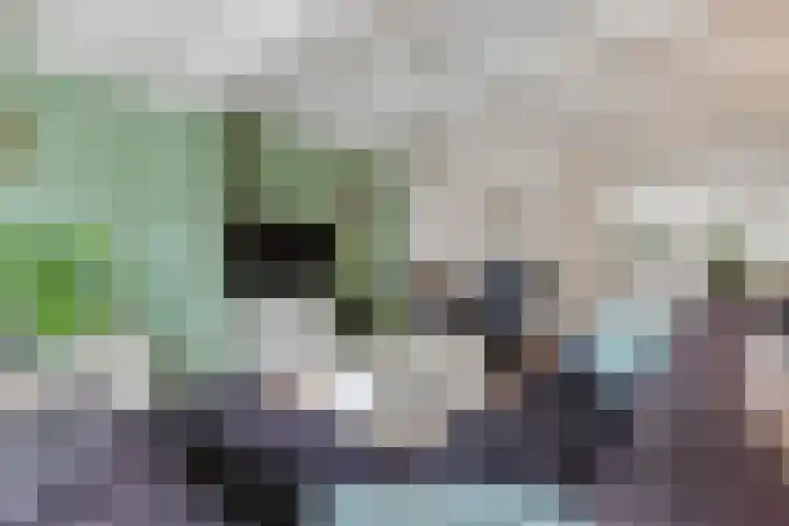 Vlindermeent 85 Hilversum thumbnail 7