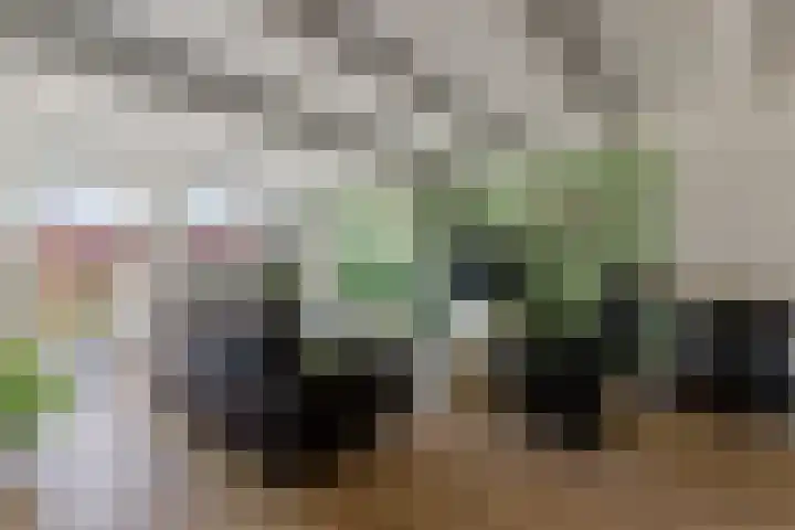 Vlindermeent 85 Hilversum thumbnail 8