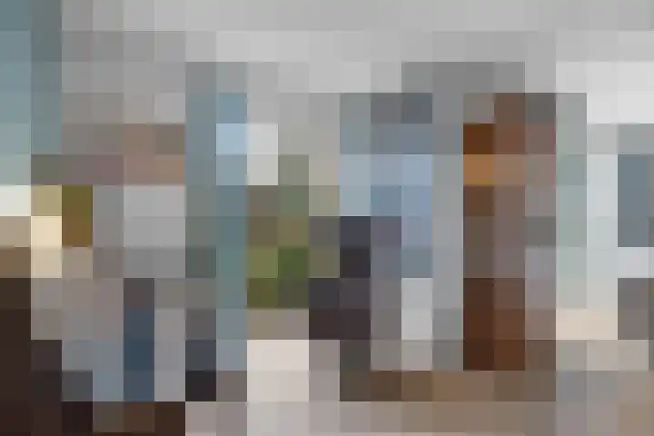 Vlinderplantsoen 3 Almere thumbnail 11