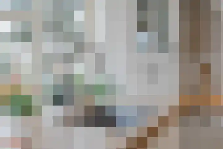 Vlinderplantsoen 3 Almere thumbnail 18