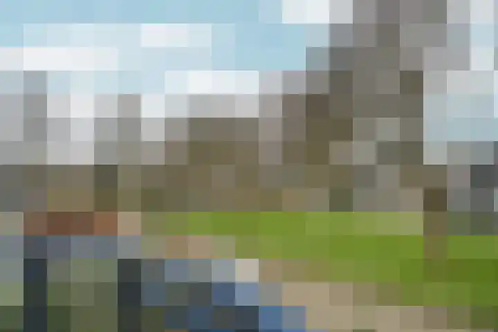 Vlinderplantsoen 3 Almere thumbnail 28