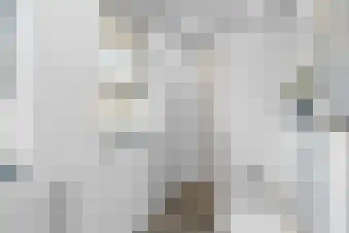 Vlinderplantsoen 3 Almere thumbnail 31