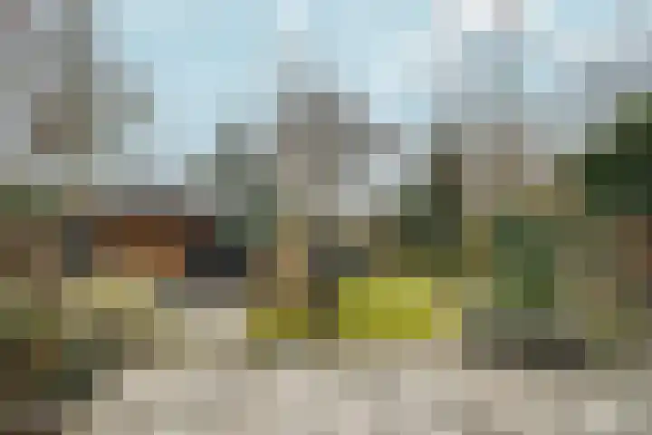Vlinderplantsoen 3 Almere thumbnail 43