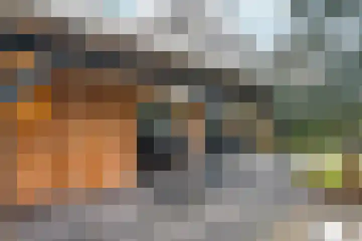 Vlinderplantsoen 3 Almere thumbnail 45