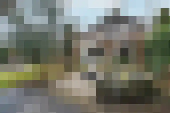 Vlinderplantsoen 3 Almere thumbnail 46