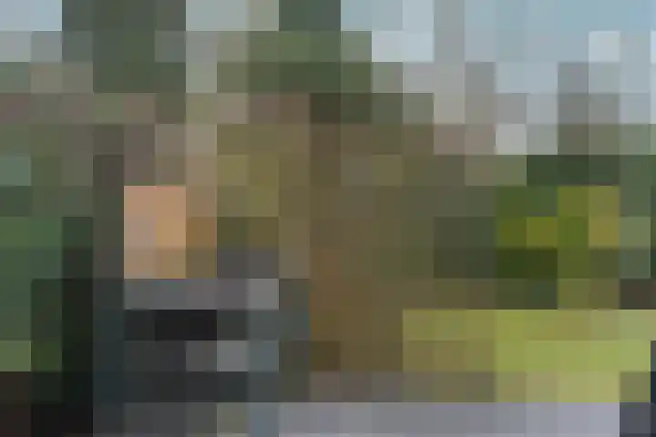 Vlinderplantsoen 3 Almere thumbnail 47