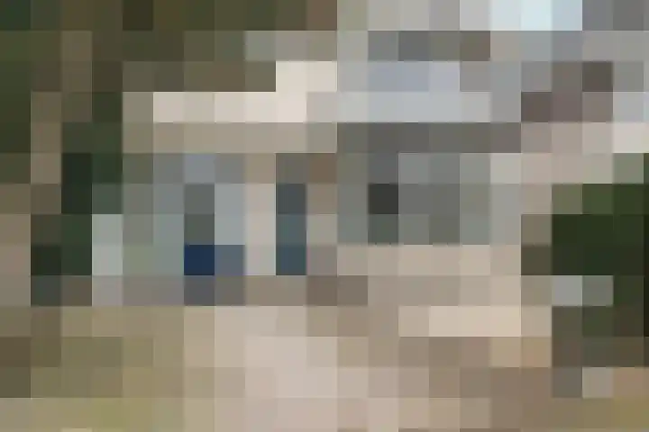 Vlinderplantsoen 3 Almere thumbnail 53