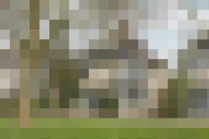 Vlinderplantsoen 3 Almere thumbnail 54