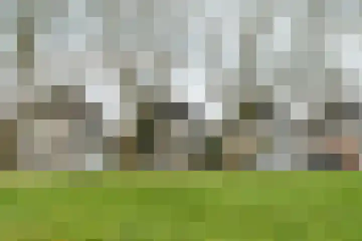 Vlinderplantsoen 3 Almere thumbnail 55