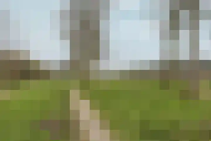 Vlinderplantsoen 3 Almere thumbnail 58