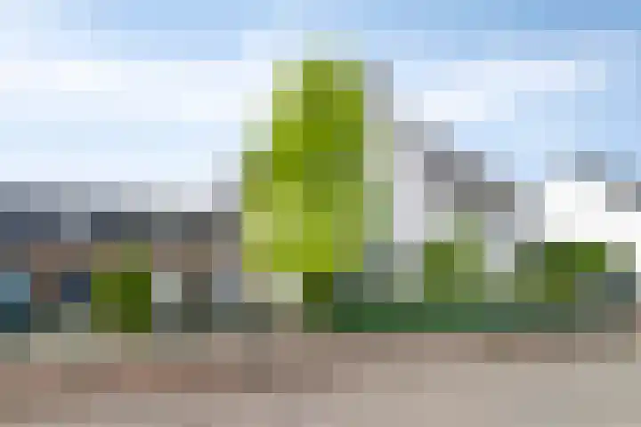 Vlinderplein 20 Gouda thumbnail 6