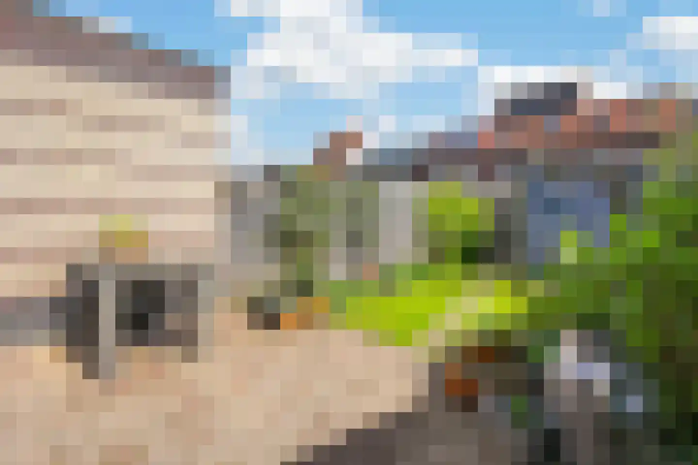 Vlindersingel 155 Utrecht thumbnail 12