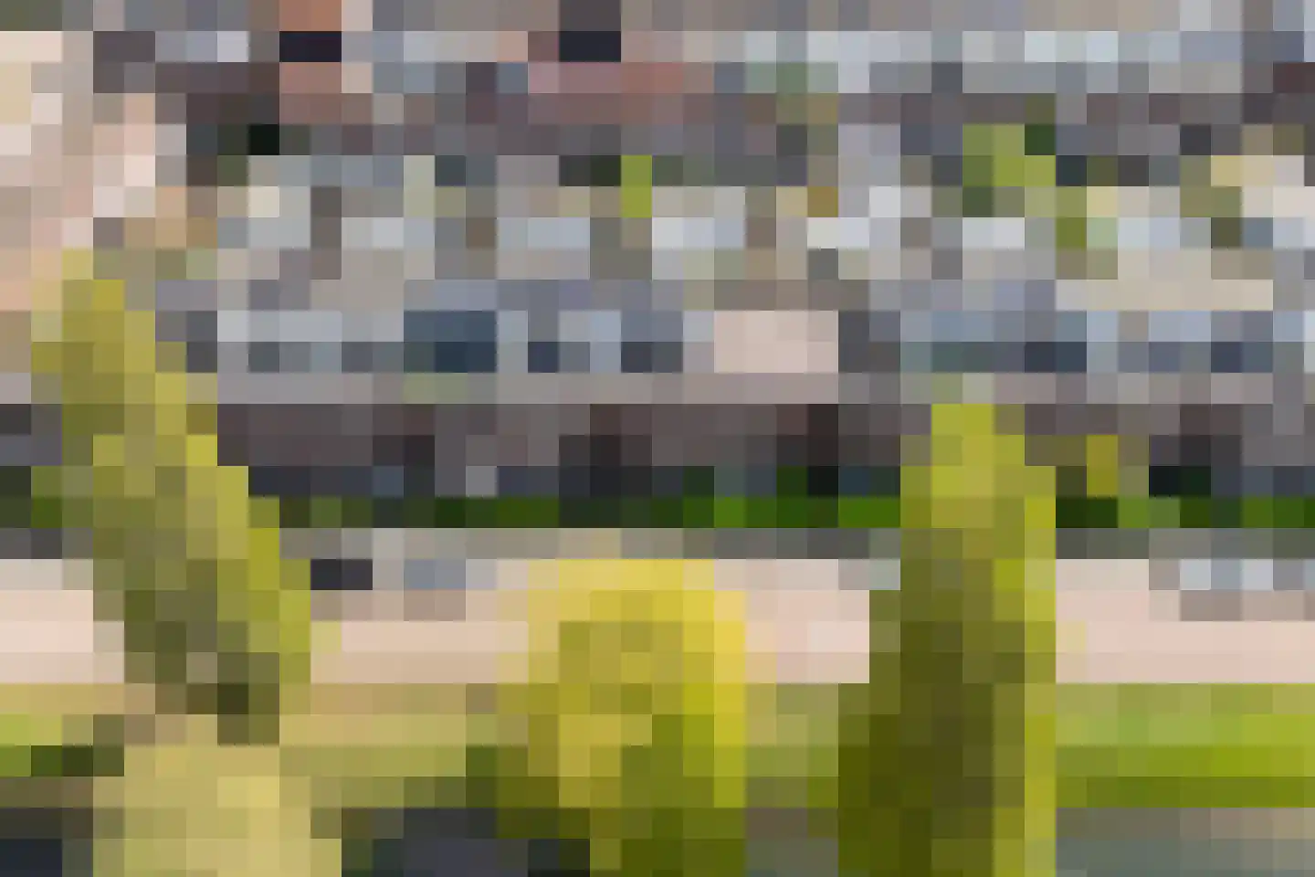 Vlindersingel 155 Utrecht thumbnail 37