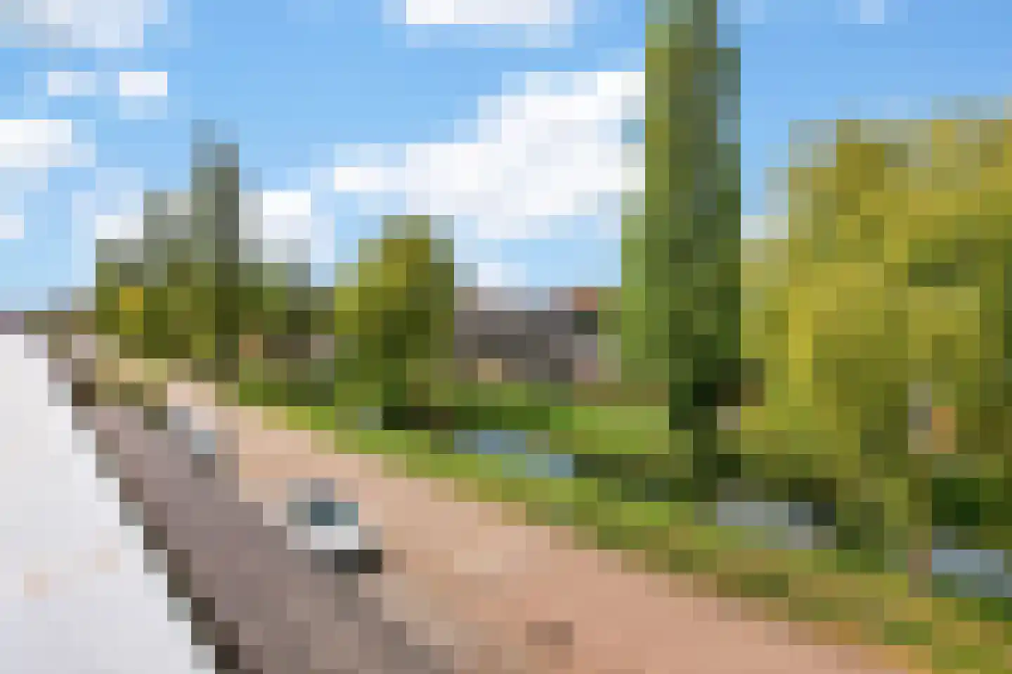 Vlindersingel 155 Utrecht thumbnail 40