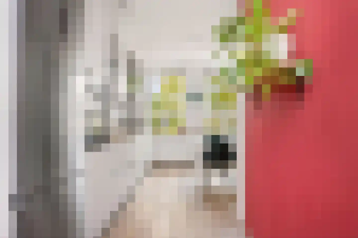 Vlindersingel 155 Utrecht thumbnail 8