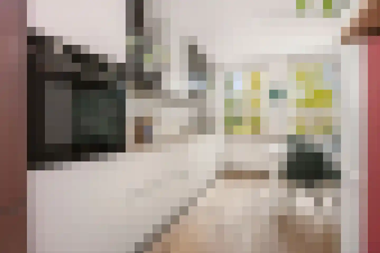 Vlindersingel 155 Utrecht thumbnail 9