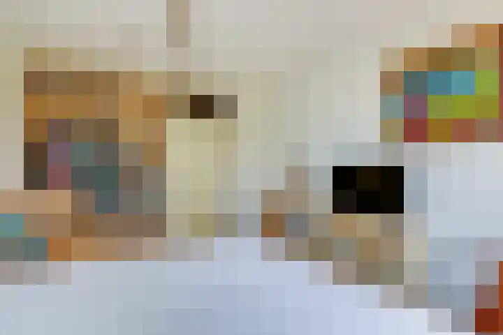 Vlindersingel 161 Utrecht thumbnail 17