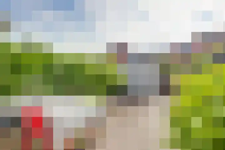 Vlindersingel 161 Utrecht thumbnail 39