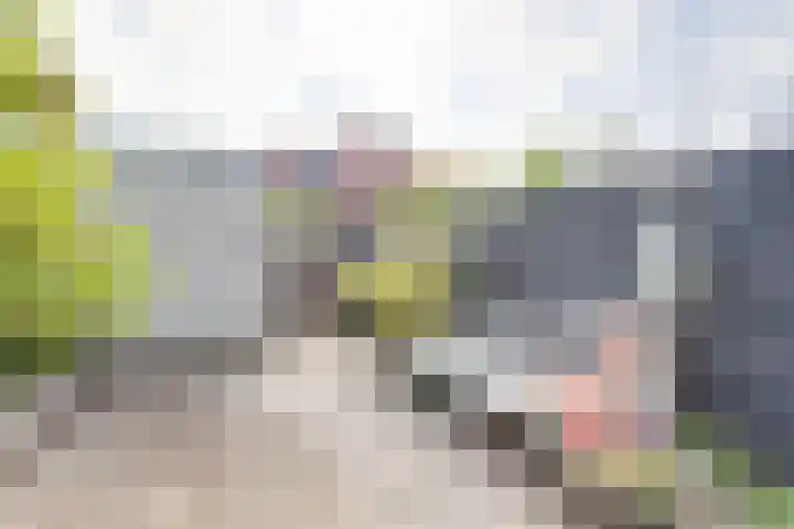 Vlindersingel 161 Utrecht thumbnail 40