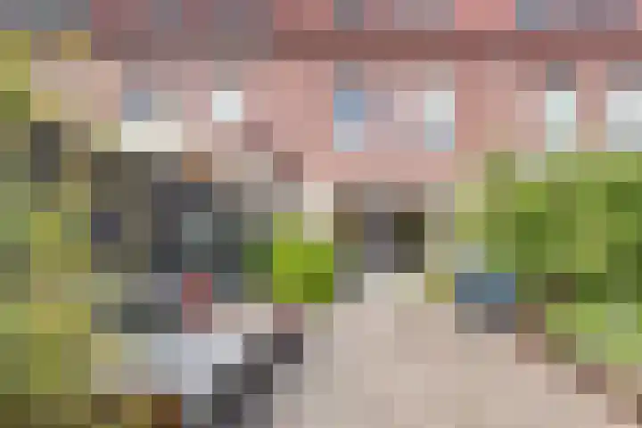Vlindersingel 161 Utrecht thumbnail 44