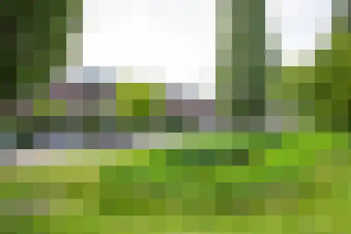 Vlindersingel 161 Utrecht thumbnail 47