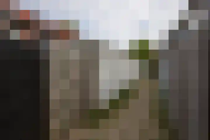 Vlindersingel 161 Utrecht thumbnail 48