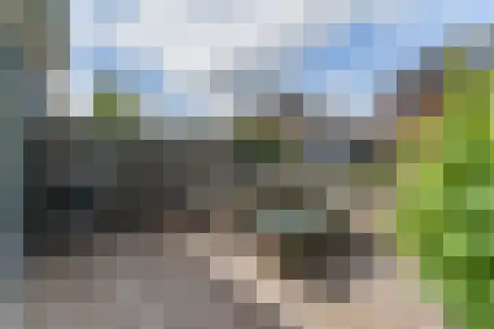 Vlindersingel 216 Utrecht thumbnail 15