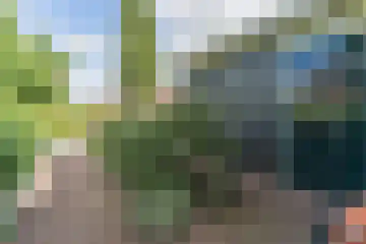 Vlindersingel 216 Utrecht thumbnail 16