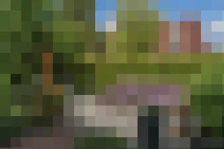 Vlindersingel 216 Utrecht thumbnail 17