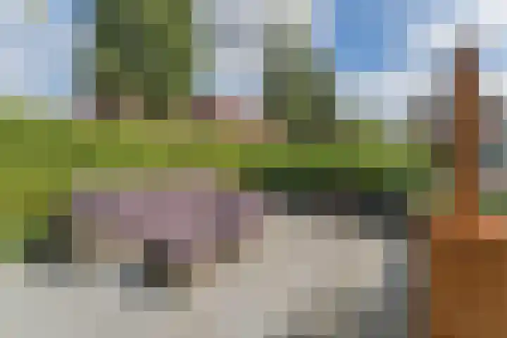 Vlindersingel 216 Utrecht thumbnail 19