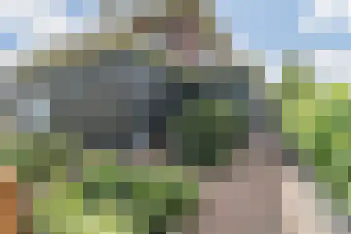 Vlindersingel 216 Utrecht thumbnail 21