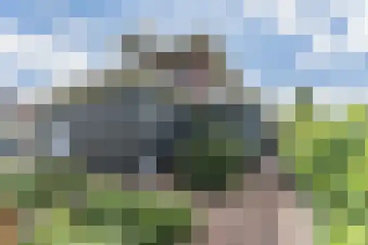 Vlindersingel 216 Utrecht thumbnail 22