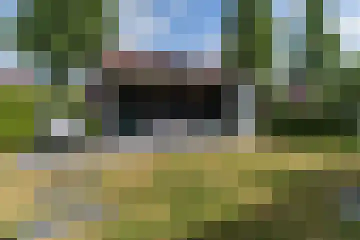 Vlindersingel 216 Utrecht thumbnail 23