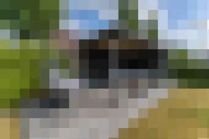 Vlindersingel 216 Utrecht thumbnail 24