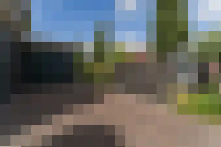 Vlindersingel 216 Utrecht thumbnail 27