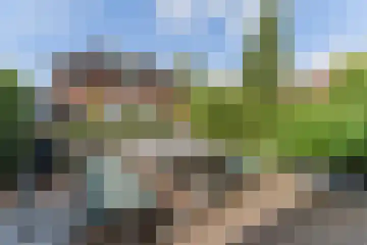 Vlindersingel 216 Utrecht thumbnail 30