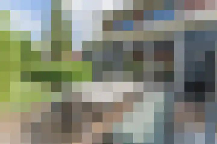 Vlindersingel 216 Utrecht thumbnail 31