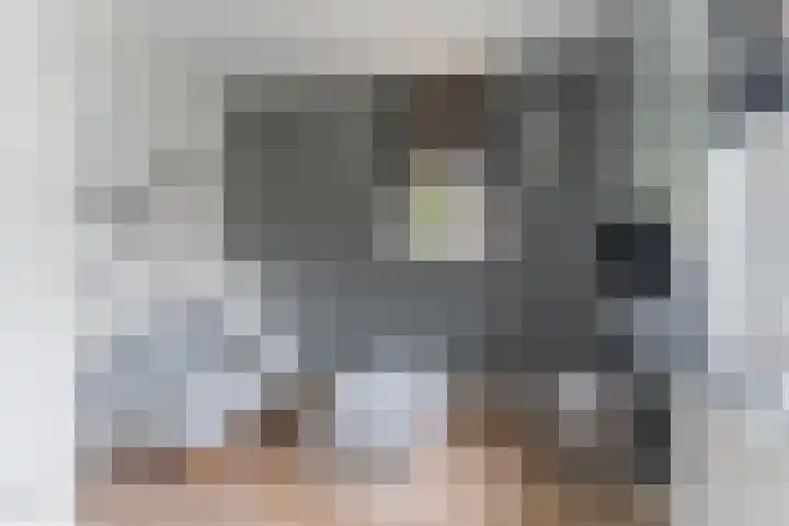 Vlindersingel 216 Utrecht thumbnail 49