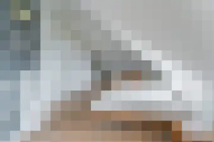 Vlindersingel 216 Utrecht thumbnail 59