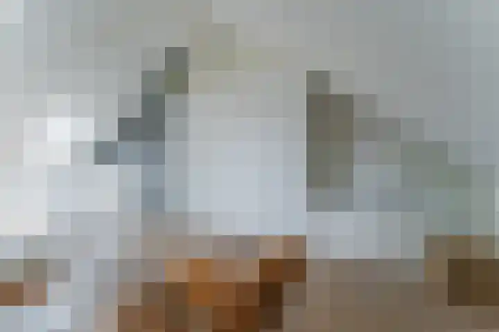 Vlindersingel 216 Utrecht thumbnail 61